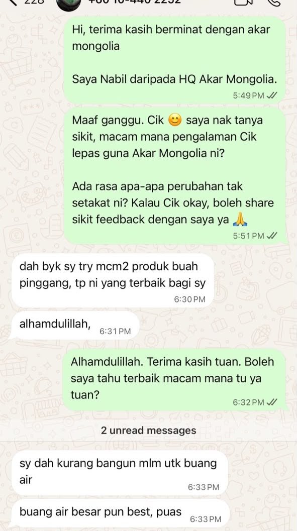 Testimoni WhatsApp pelanggan Akar Mongolia