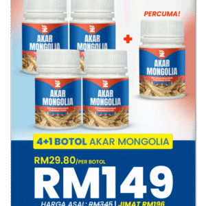 AKAR MONGOLIA 4 BOTOL