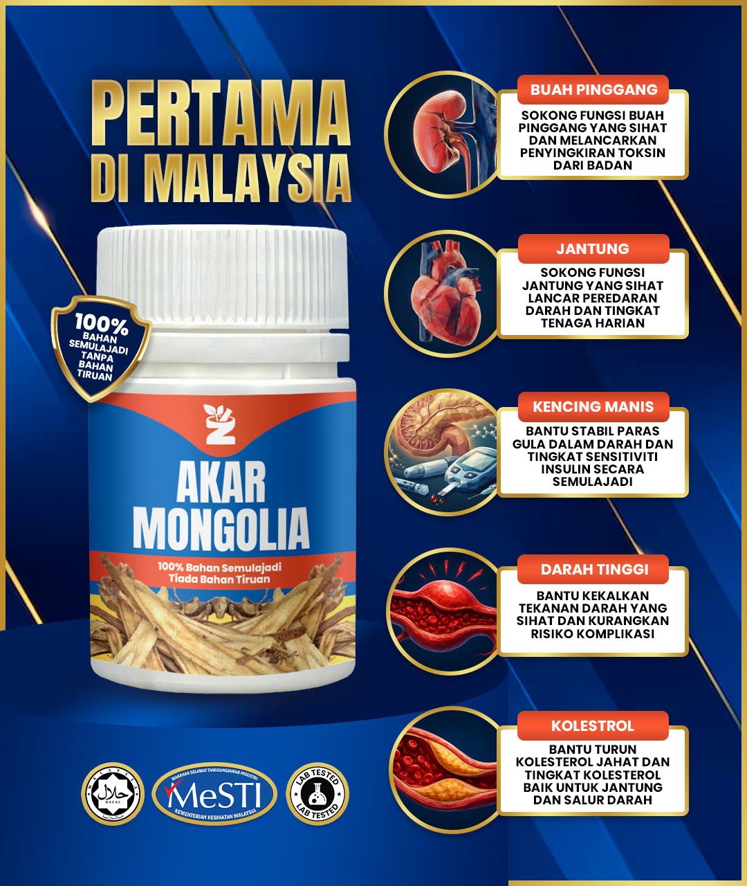 Akar Mongolia — pertama di Malaysia, sokong buah pinggang, jantung, kencing manis, darah tinggi dan kolesterol